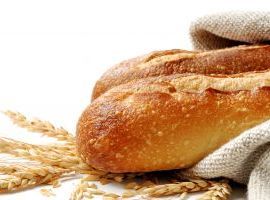 Accademia del pane - Corsi di panificazione