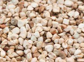 VIVERE GLUTEN FREE - Corsi di cucina senza glutine