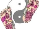 Corso base riflessologia del piede metodo zu