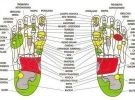 Corso di riflessologia plantare