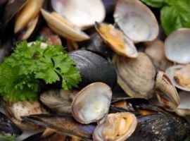 Crostacei e molluschi