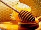 Corso di degustazione miele
