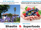 Corso di spring retreat – “shaolin & superfoods” : rigenera 