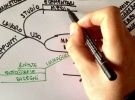 Corso di metodologia di studio e mappe mentali a c 