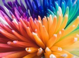 laboratori di Counseling e benessere