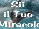 Corso di sii il tuo miracolo