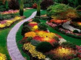 MASTER IN GARDEN DESIGN
