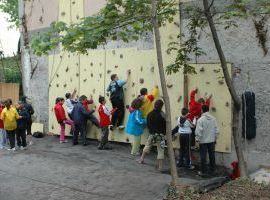 Arrampicata - Primi passi in verticale 