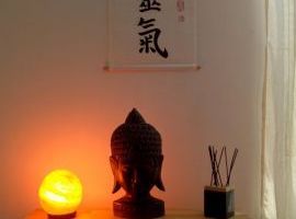 CORSO PRIMO LIVELLO REIKI CON LORENZO POSTACCHINI