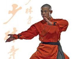 Corsi di Qi Gong a Torino in Zona Pozzo Strada-Parella-Aereonautica-San Paolo 