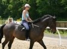 Corso di singola lezione di equitazione per adulti e bambin 