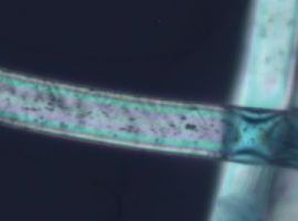 New Tech Style Design