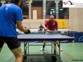 PING PONG TENNIS TAVOLO TORINO ASTI VOLPIANO