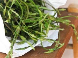 Corsi di cucina con le piante spontanee alimentari - cucinare con le erbe primaverili - Zona Gavi, Ovada, Acqui Terme, Arquata Scrivia