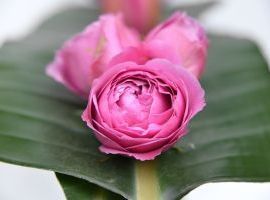 ADDOBBO FLOREALE DEL TAVOLO DA CERIMONIA 11-maggio-2014