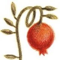 Scuola di cucina Il melograno