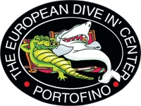 THE EUROPEAN DIVE 'IN CENTER