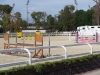 Roma pony club