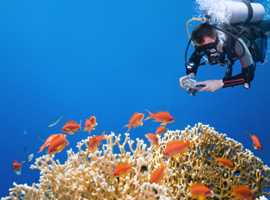 Corso di sub: discover scuba diving