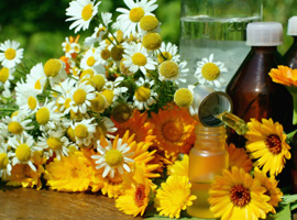 MASTER    Il CERVELLO VISCERALE Neurologia e  neurobiopatologia dell’ apparato digerente