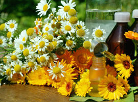 Formazione Operatori Socio Sanitari Emilia Romagna - Tecnica Complementare Perdermostimolazione® e sua integrazione nellassistenza al malato oncologico