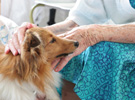 Corso operatore pet therapy